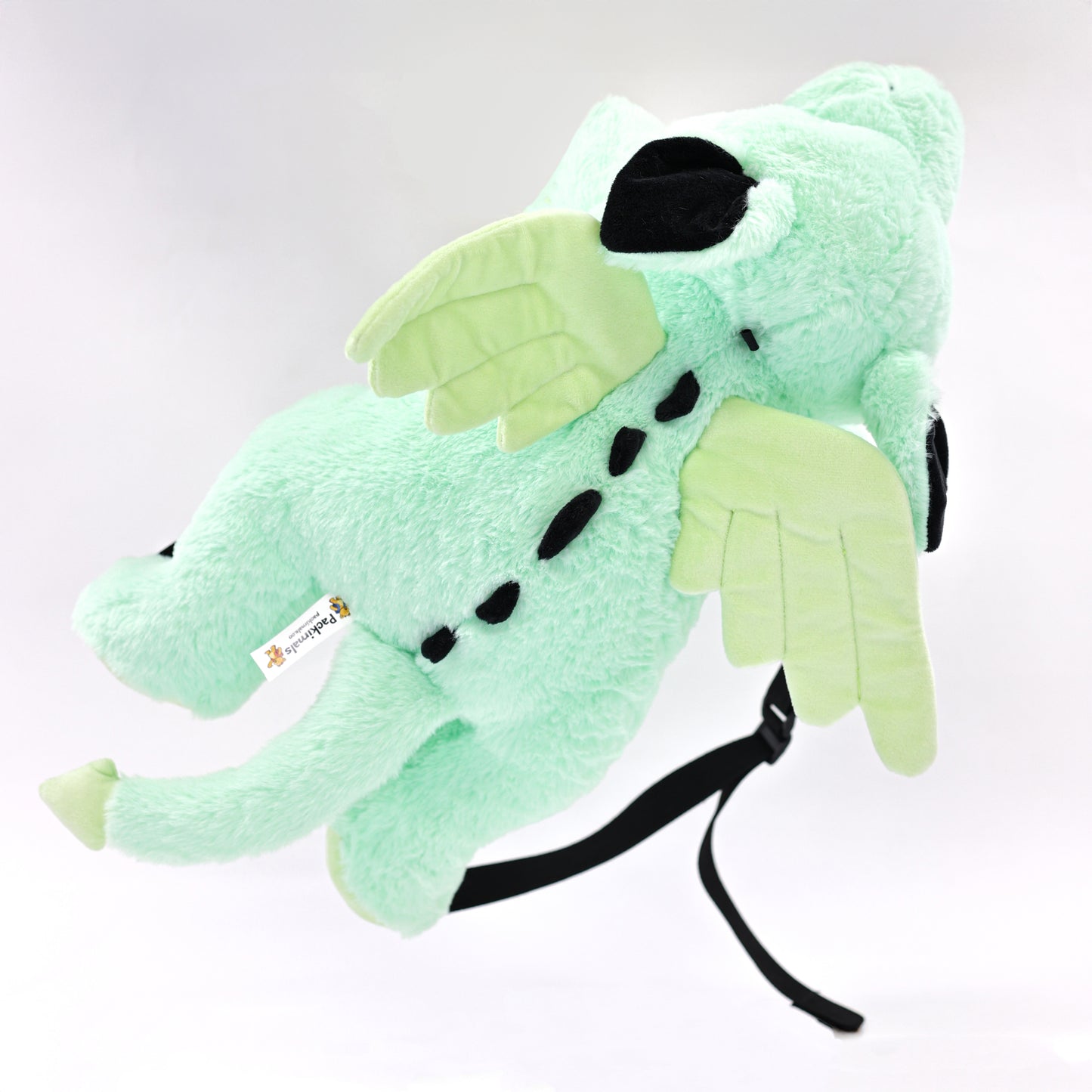 Draco the Dragon