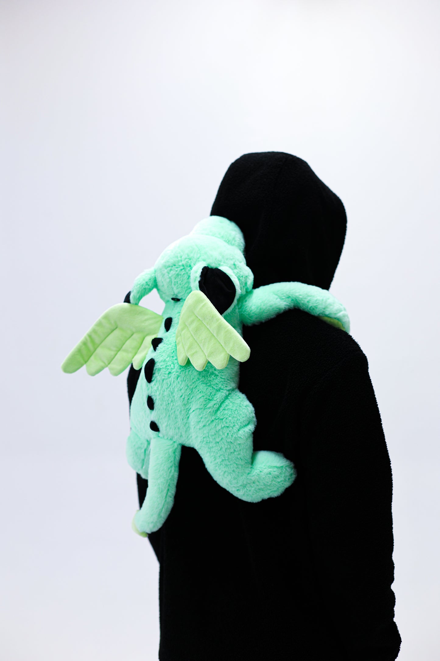 Draco the Dragon